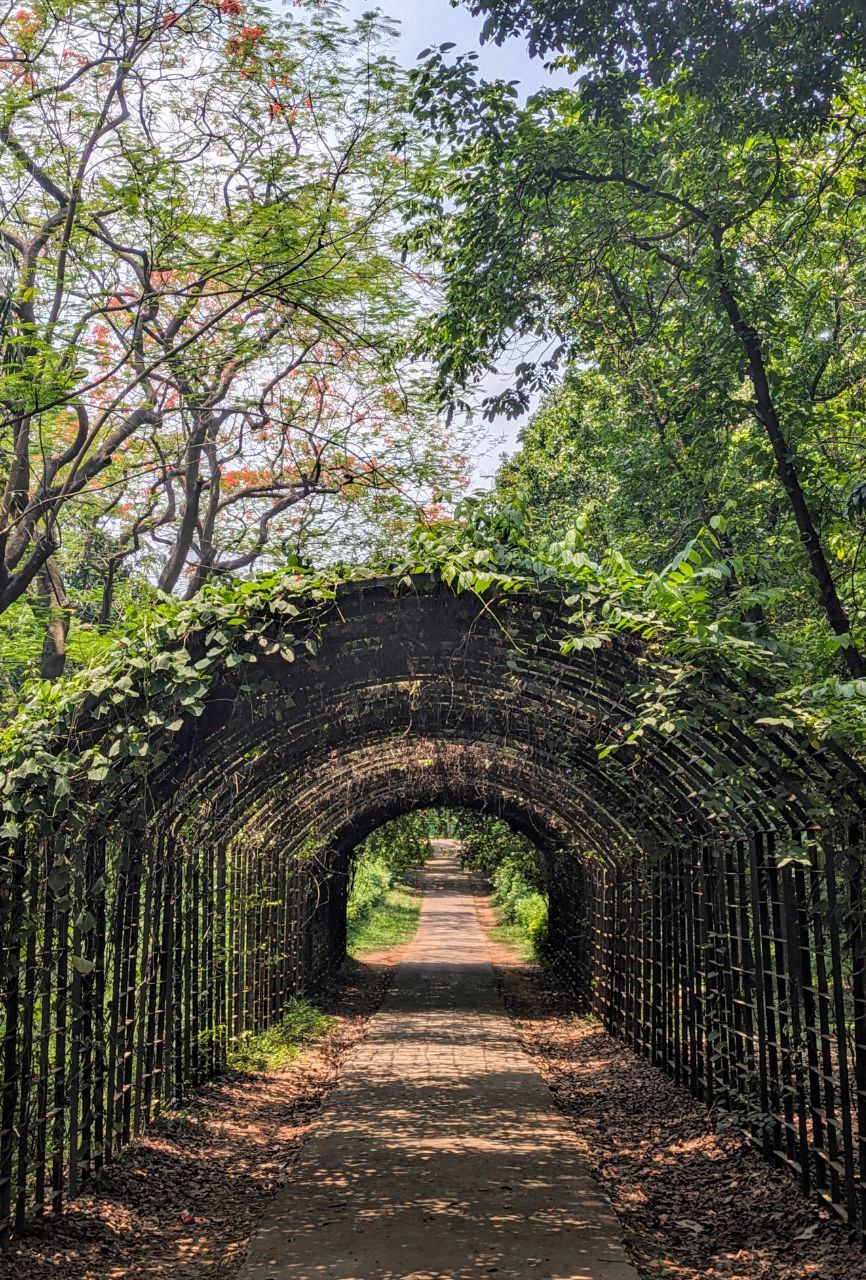 Botanical Tunnel
