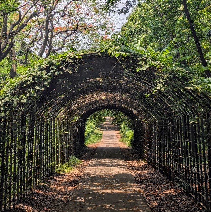 Botanical Tunnel 2
